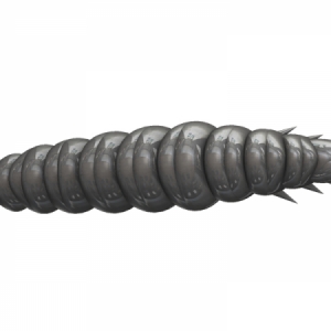Libra Lures Larva 30 - syr