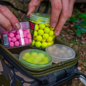 Box na nástrahy Fox Aquos Camolite Bait Storage Medium Plus