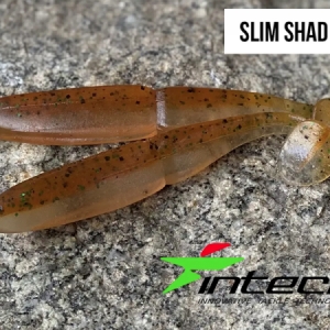 Gumená nástraha Intech Slim Shad 4