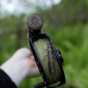 Muškárska šnúra Cortland Euro Nymph Braid Core 0,22